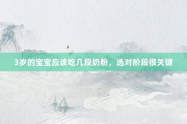 3岁的宝宝应该吃几段奶粉，选对阶段很关键