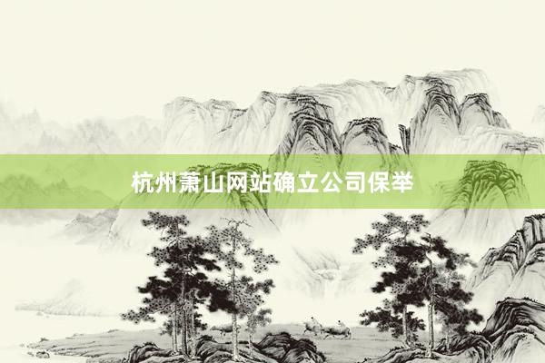杭州萧山网站确立公司保举