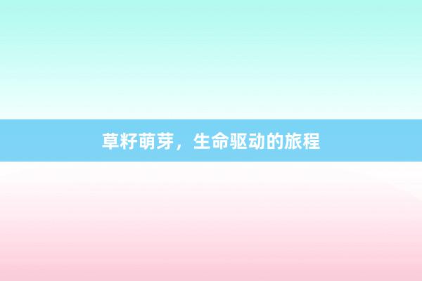 草籽萌芽，生命驱动的旅程