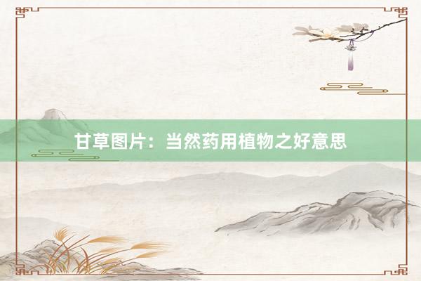 甘草图片：当然药用植物之好意思